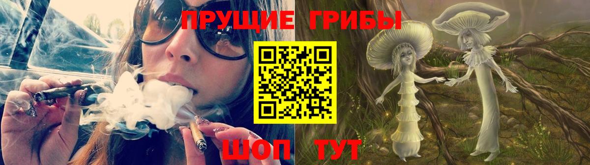 Гатчина  Псилоцибиновые грибы MAGIC MUSHROOMS  Вход с VPN  Псилоцибиновые грибы MAGIC MUSHROOMS 