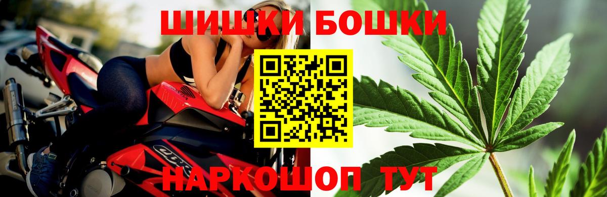Конопля конопля Гатчина